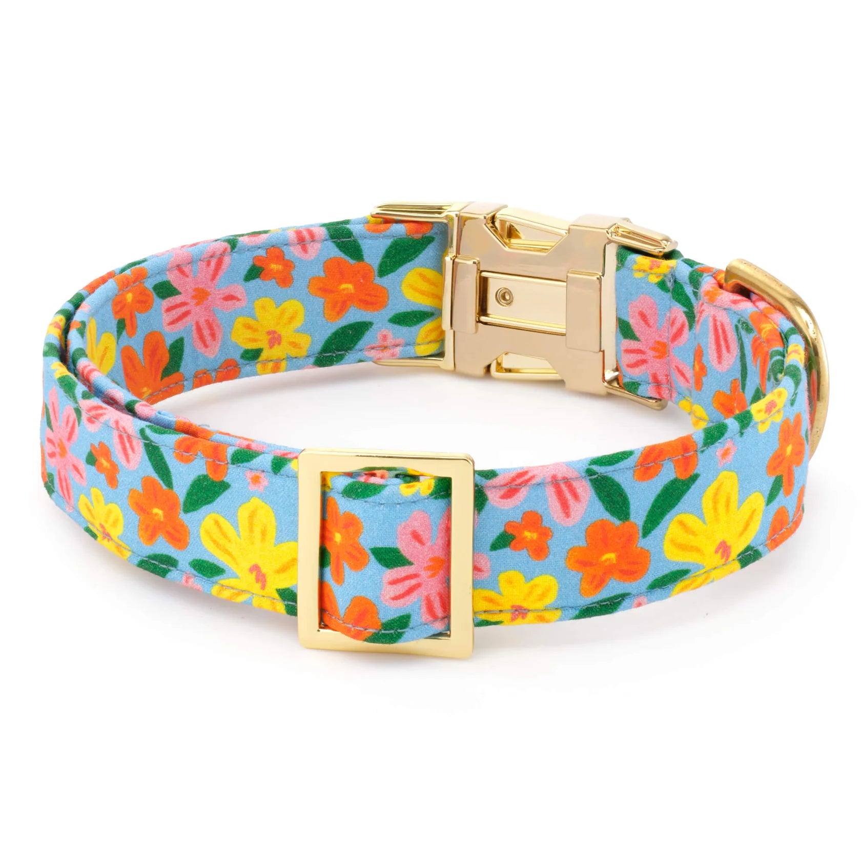 Island Time Dog Collar
