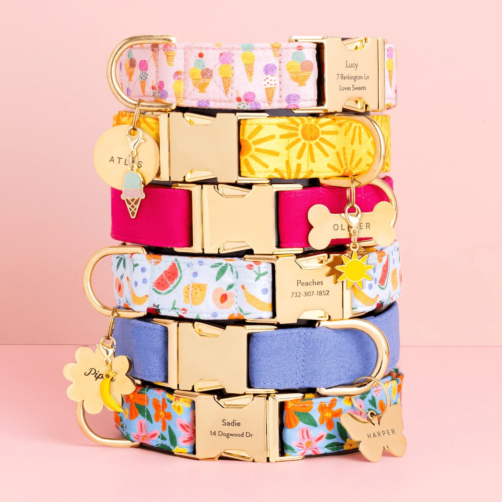 Island Time Dog Collar