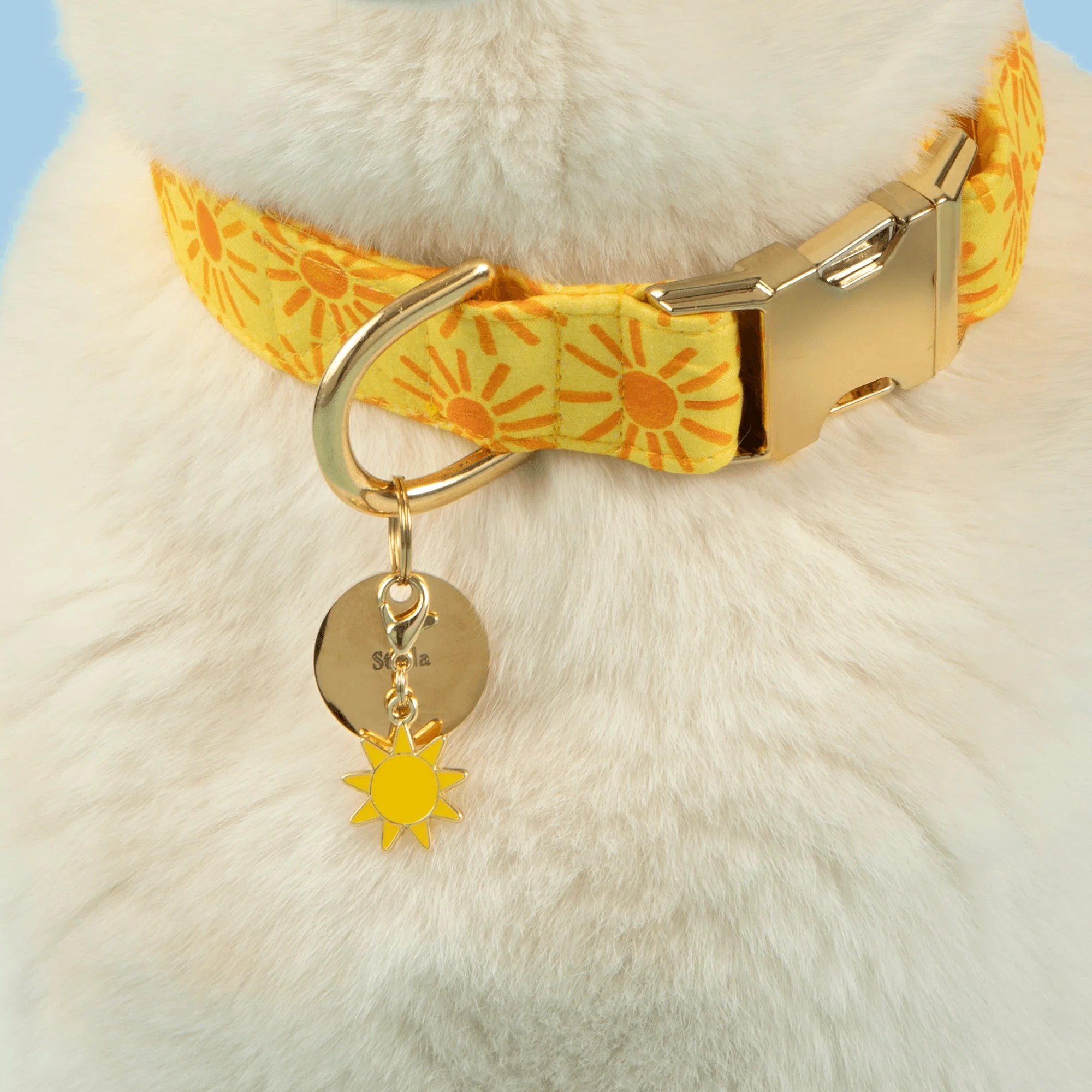 Here Comes the Sun Dog Collar