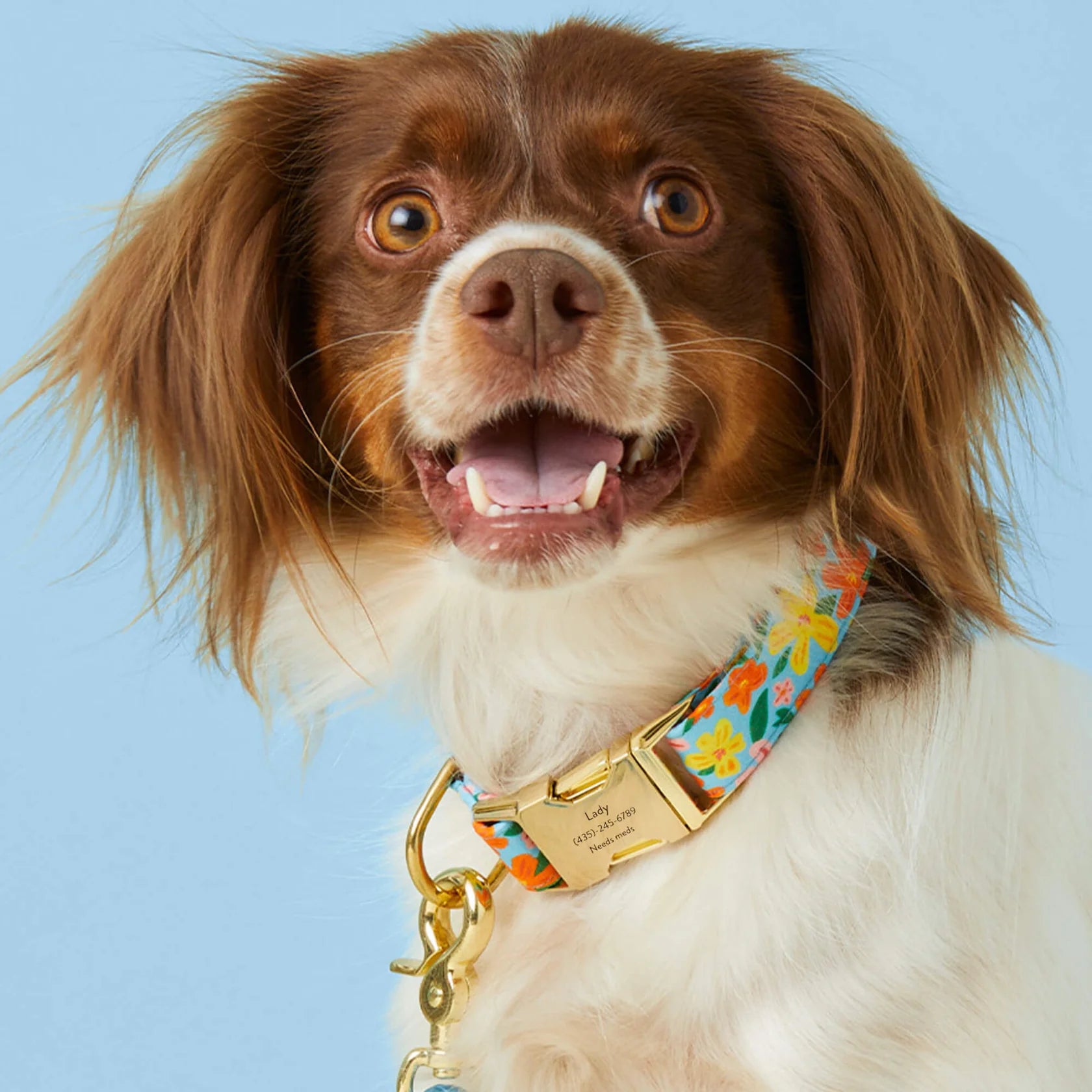 Island Time Dog Collar