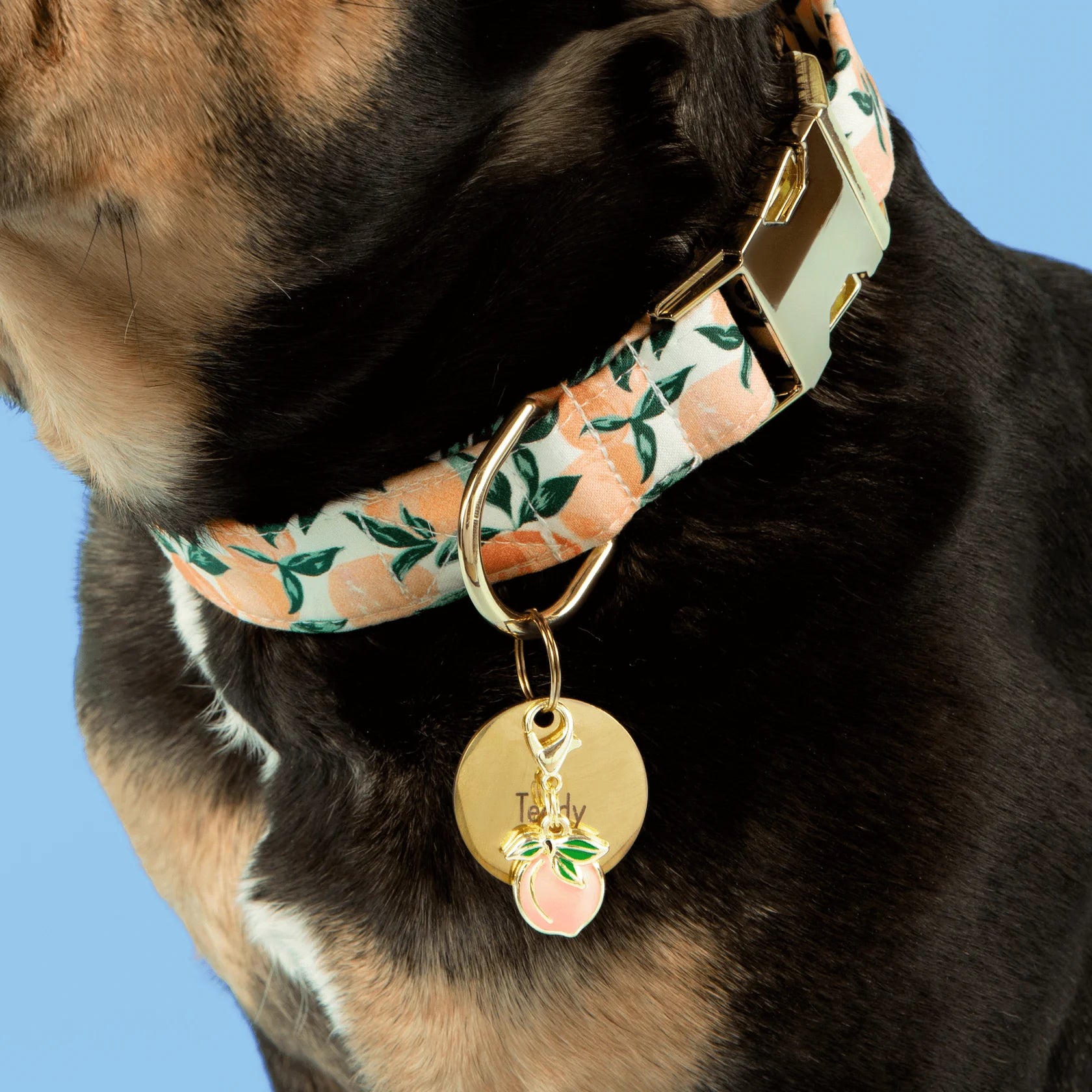 Peaches & Cream Dog Collar
