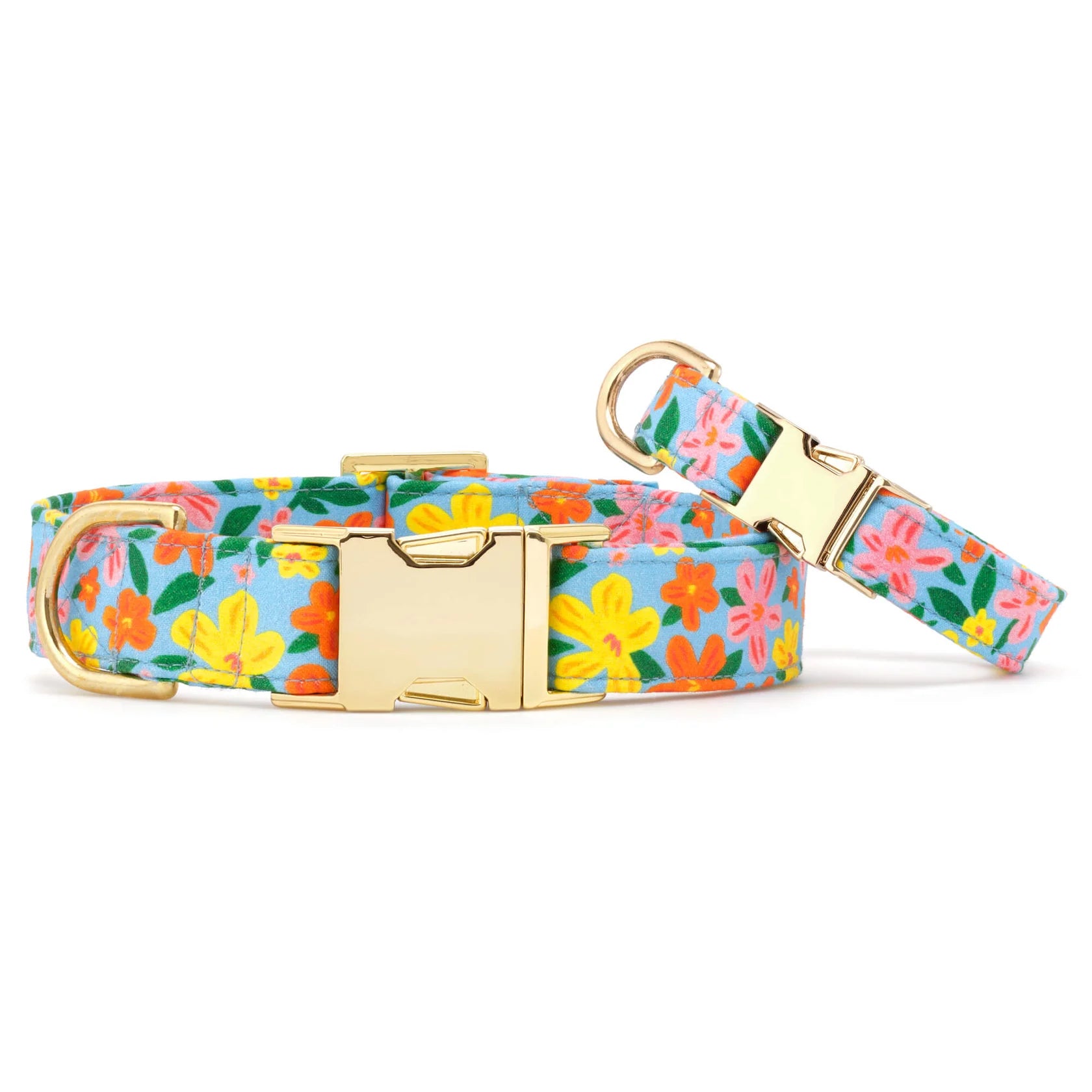 Island Time Dog Collar