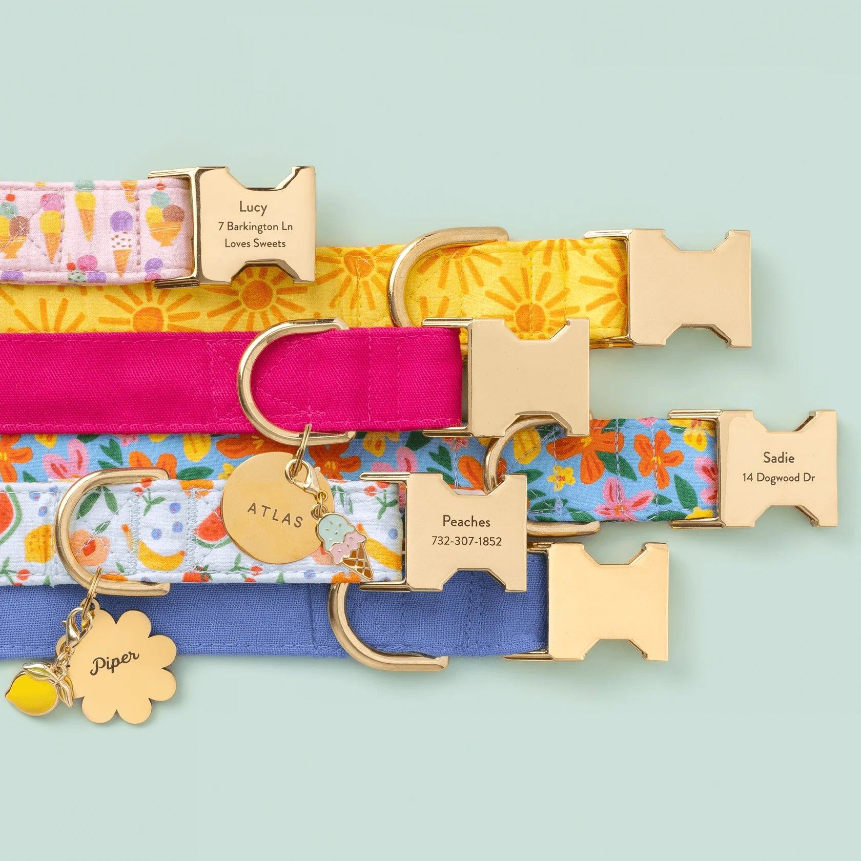 Island Time Dog Collar