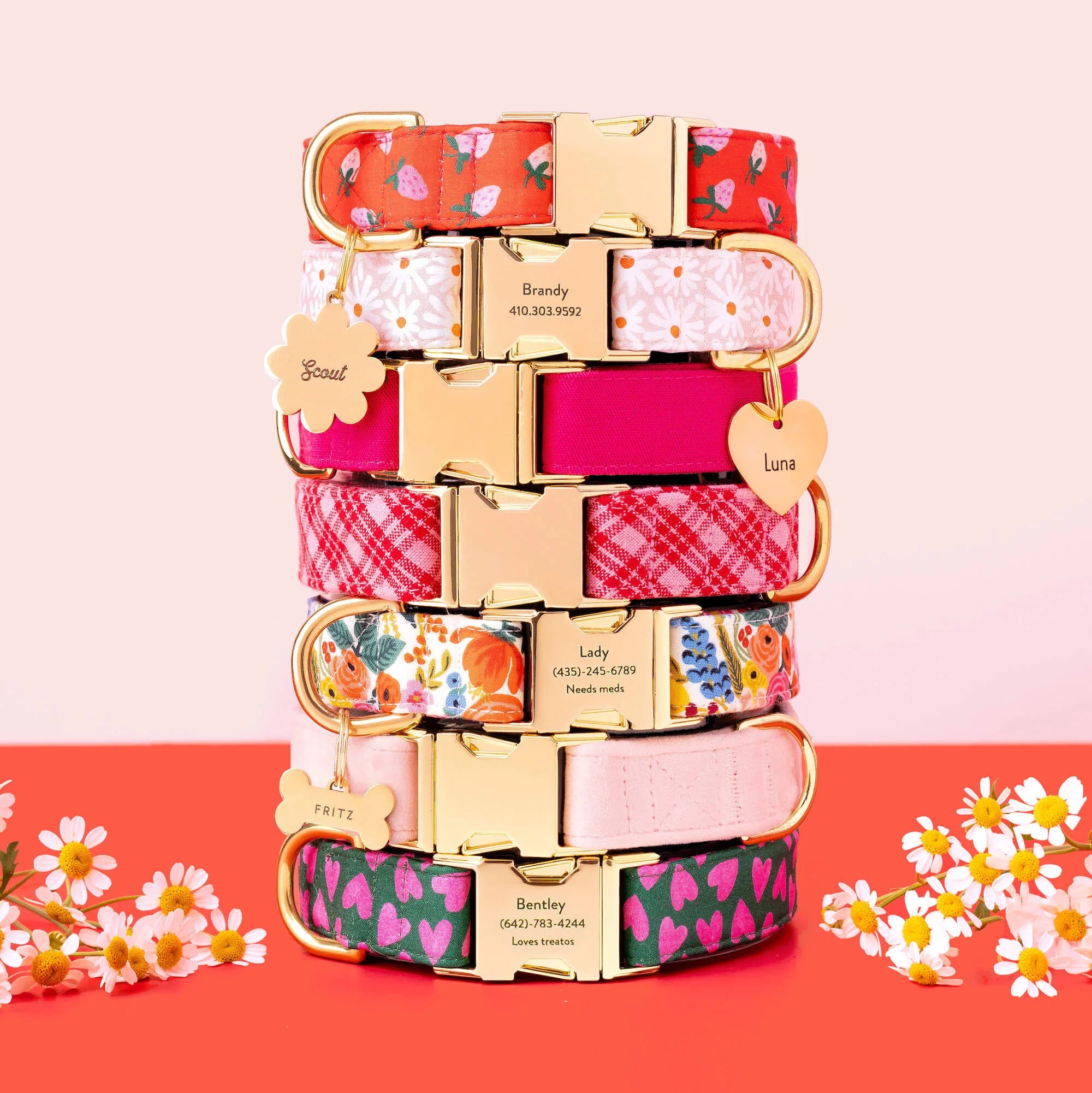 Berry Sweet Dog Collar